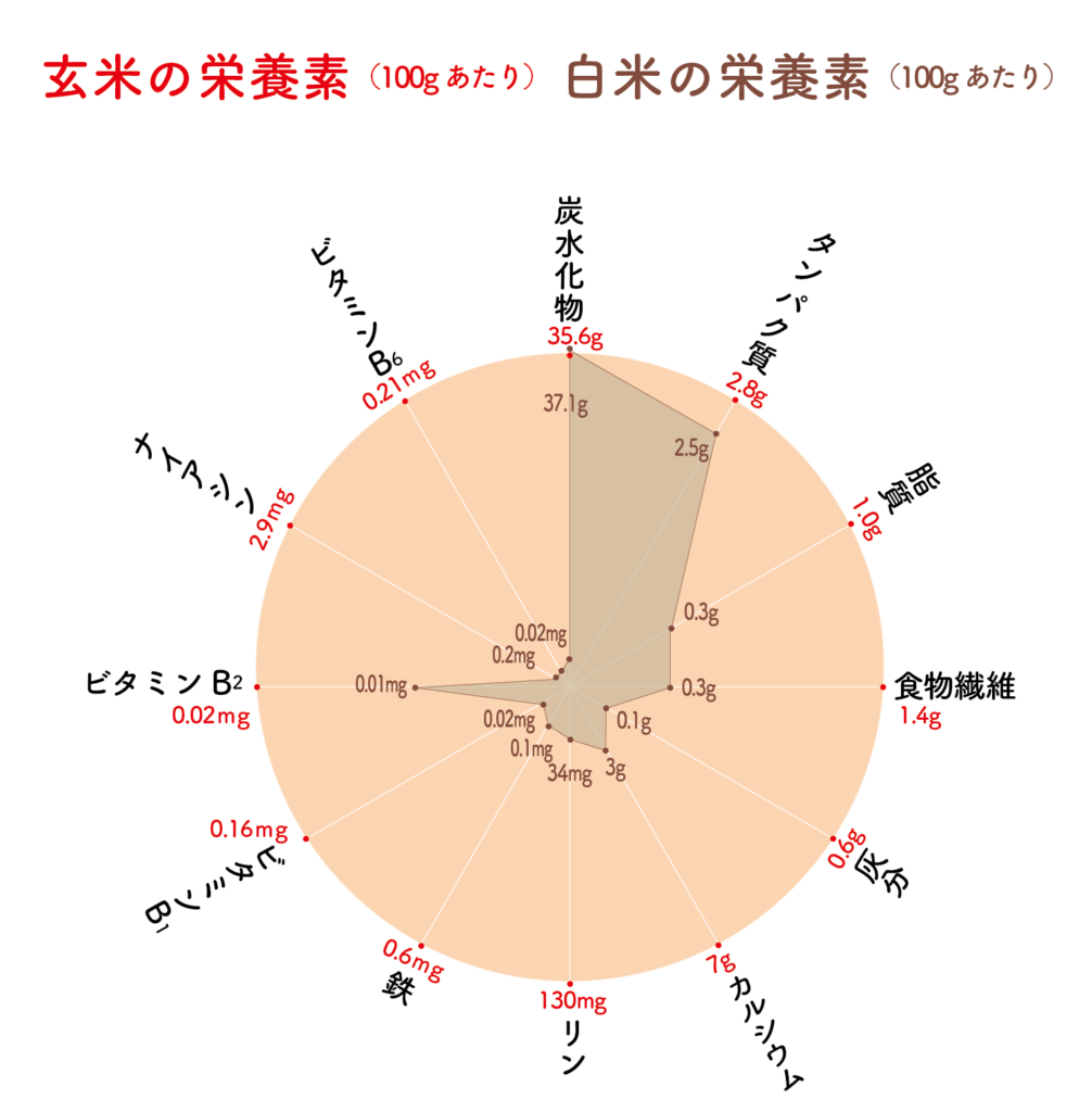 玄米の栄養素と炊き方のポイント